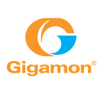 gigamon link