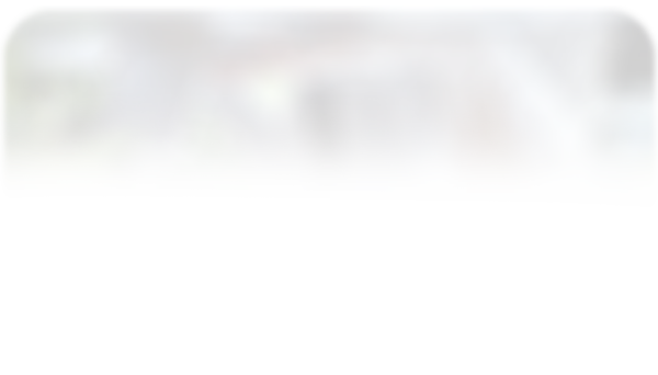 Professional Services Retainer 2